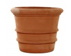Tree Planter Florentine - Terracotta Pot